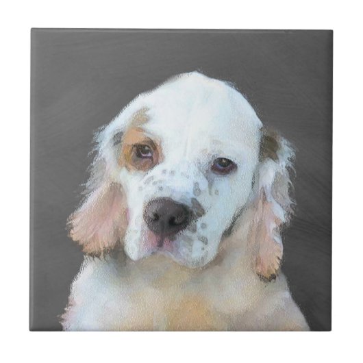 Clumber Spanischmalerei - Niedliche Original Dog A Fliese (Vorderseite)