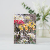 Cluster Amaryllis [Postcard] Postkarte (Stehend Vorderseite)