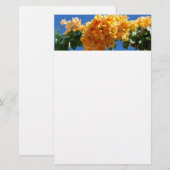 Cluster Golden Bougainvillea Floral Briefpapier (Vorne/Hinten)