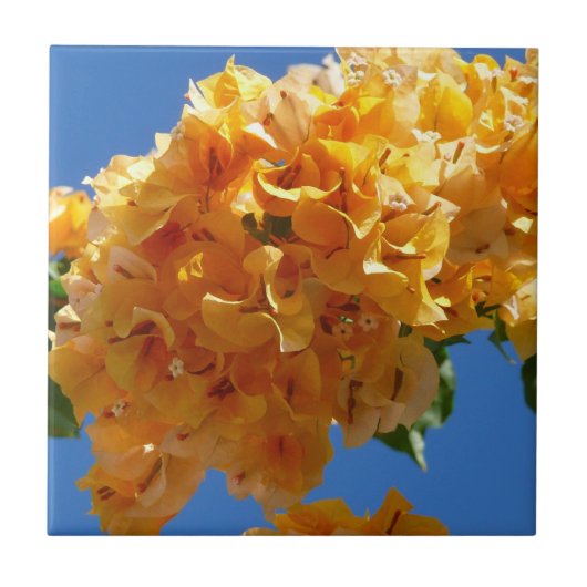 Cluster Golden Bougainvillea Floral Fliese (Vorderseite)