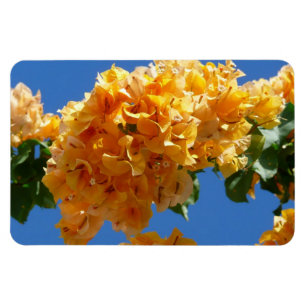 Cluster Golden Bougainvillea Floral Magnet
