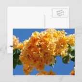 Cluster Golden Bougainvillea Floral Postkarte (Vorne/Hinten)
