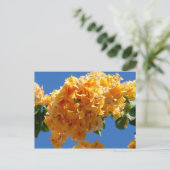 Cluster Golden Bougainvillea Floral Postkarte (Stehend Vorderseite)