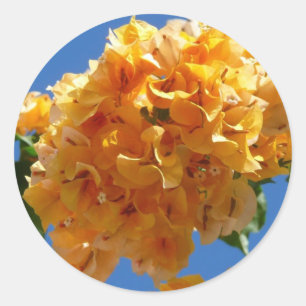 Cluster Golden Bougainvillea Floral Runder Aufkleber