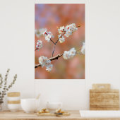 Cluster japanischer Aprikosen/Blume Poster (Küche)
