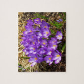 Cluster Lila Crocuses Frühlingsfloral Puzzle (Vertikal)