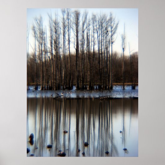 Cluster Poster (Vorne)