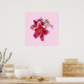 Cluster Stargazer Lilies Poster (Küche)