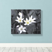 Cluster Tiny Blooms Stretched Canvas Print Leinwanddruck (Insitu (Holzboden))