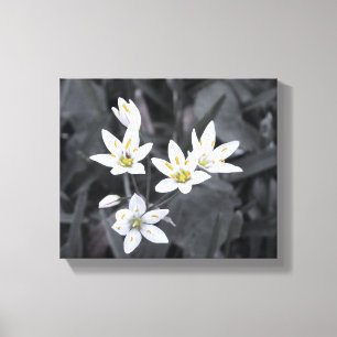 Cluster Tiny Blooms Stretched Canvas Print Leinwanddruck