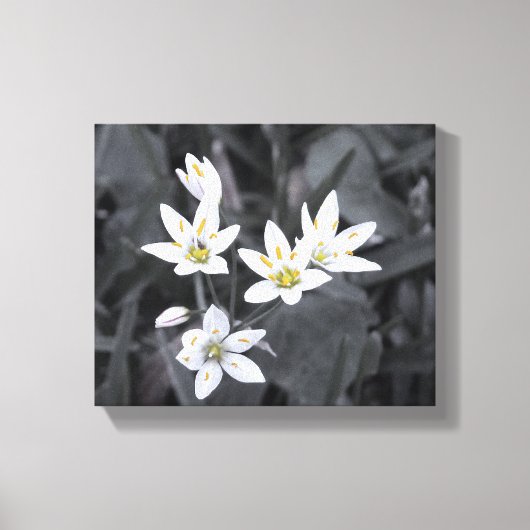 Cluster Tiny Blooms Stretched Canvas Print Leinwanddruck (Vorderseite)