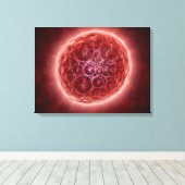 Cluster von Blastomeres, das eine Morula bildet Leinwanddruck (Insitu (Holzboden))