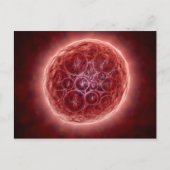 Cluster von Blastomeres, das eine Morula bildet Postkarte (Vorderseite)