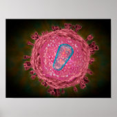 Cluster von HIV-Virus 2 Poster (Vorne)