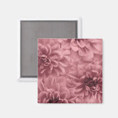 Cluster von Light Mauve Dahlia-Blume Magnet (Vorderseite/Rückseite)