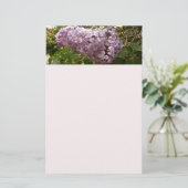 Cluster von Lilac Blossoms Frühlingsblumen Briefpapier (Stehend Vorderseite)