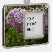 Cluster von Lilac Blossoms Frühlingsblumen Rahmen-Ornament Silber (Rechts)