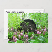 Cluster von Pink Lady Slippers Postkarte (Vorne/Hinten)