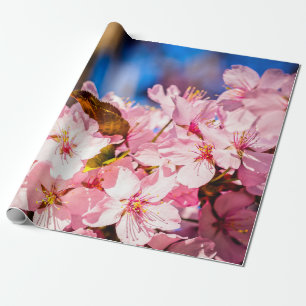 Cluster von rosa Kirschblüten, Blauer Himmel Geschenkpapier
