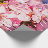 Cluster von rosa Kirschblüten, Blauer Himmel Geschenkpapier (Ecke)