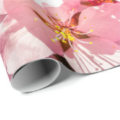 Cluster von rosa Kirschblüten, Blauer Himmel Geschenkpapier (Rolleneckpunkt)