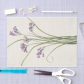 Clusterlilie von Mary Vaux Walcott Seidenpapier (Handwerk)