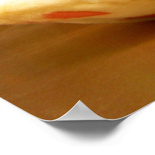 Clyde da Bunny Poster (Ecke)