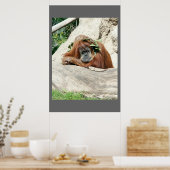 Clyde Poster (Küche)