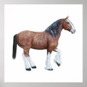 Clydesdale 3 poster (Vorne)