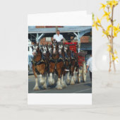 Clydesdale 6 horse hitch karte (Gelbe Blume)