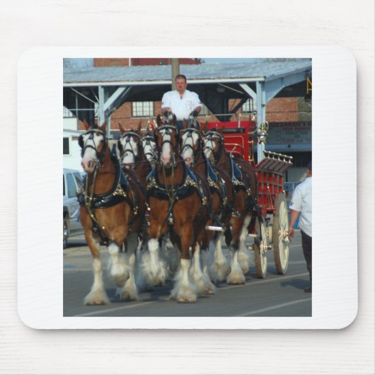 Clydesdale 6 Pferdeanhängevorrichtung Mousepad (Vorne)