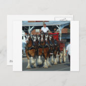 Clydesdale 6 Pferdeanhängevorrichtung Postkarte (Vorne/Hinten)