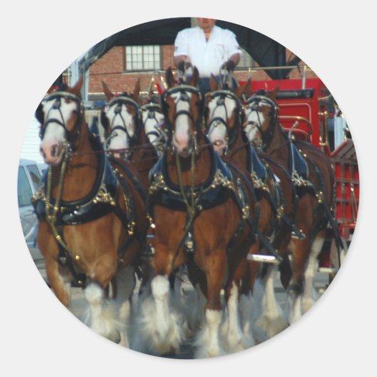 Clydesdale 6 runder aufkleber (Vorderseite)