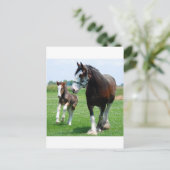Clydesdale and Filly Postkarte (Stehend Vorderseite)
