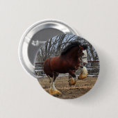 Clydesdale Bolzen-Coltbetrieb Button (Vorne & Hinten)