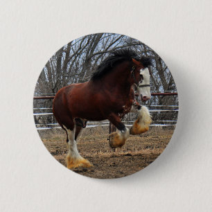 Clydesdale Bolzen-Coltbetrieb Button