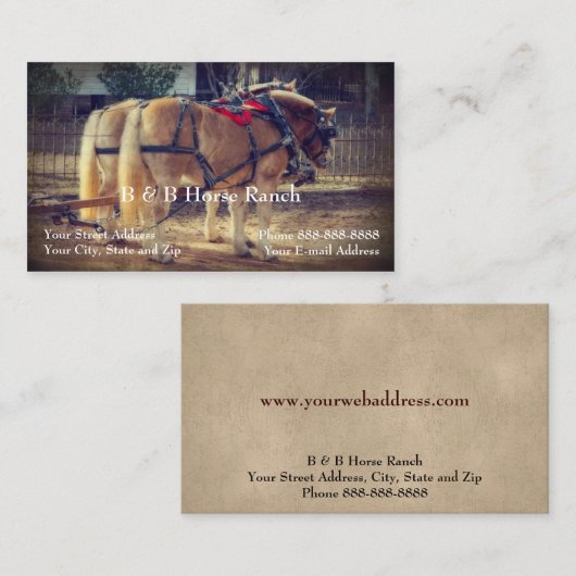 Clydesdale Business Card Visitenkarte (Vorne/Hinten)