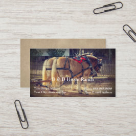 Clydesdale Business Card Visitenkarte