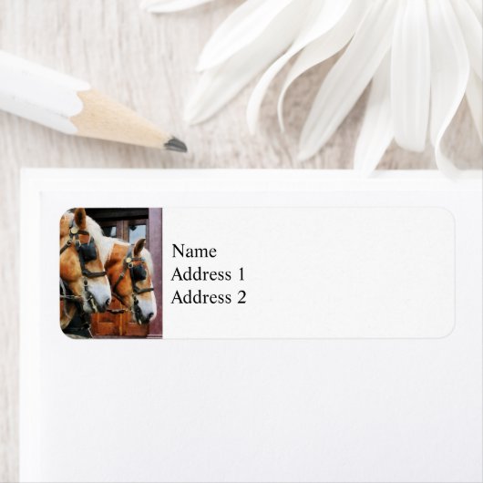 Clydesdale Closeup (Insitu)