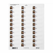 Clydesdale Closeup (Vorne)