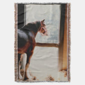 Clydesdale Decke (Vorderseite Vertikal)