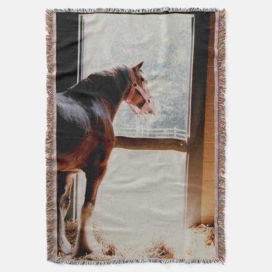 Clydesdale Decke (Vorderseite Vertikal)