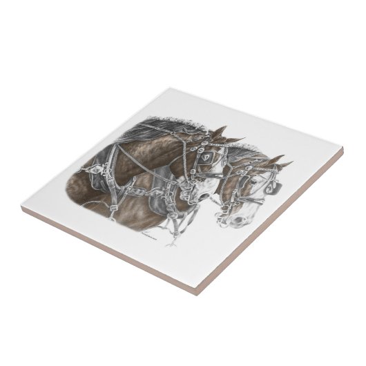 Clydesdale Draft Horse Team Fliese (Seite)