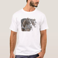 Clydesdale Draft Horse Team