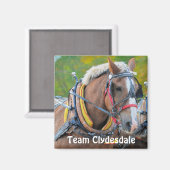 Clydesdale Entwurf Pferd Team Magnetic Art Geschen Magnet (Vorderseite/Rückseite)