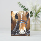 Clydesdale Entwurf Pferde Postkarte (Stehend Vorderseite)