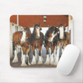 Clydesdale Entwurfs-Pferde in der Scheune Mousepad (Mit Mouse)