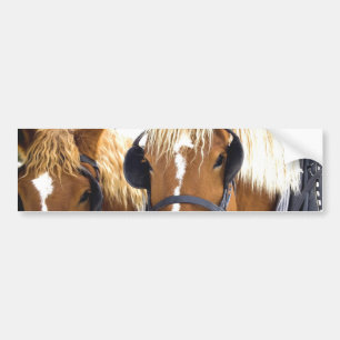 Clydesdale Entwurfs-PferdeAutoaufkleber Autoaufkleber