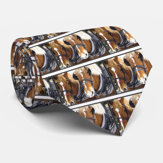 Clydesdale Entwurfs-PferdeKrawatte Krawatte (Gerollt)