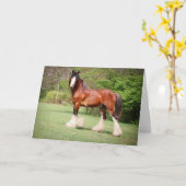 Clydesdale Geburtstags-Karte Karte (Gelbe Blume)
